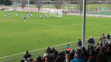 Le festival  des Vertes face au Havre (4-1)