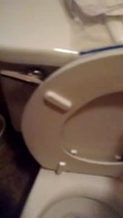 Extremely Bizarre 1st Gen 1994 Mansfield Alto Toilet with a triple flush!