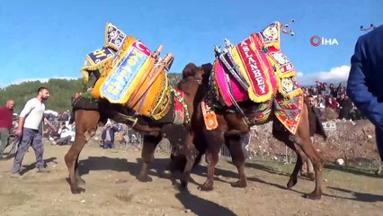 Eşekler üzerinde iki takımın kıran kırana futbol maçı