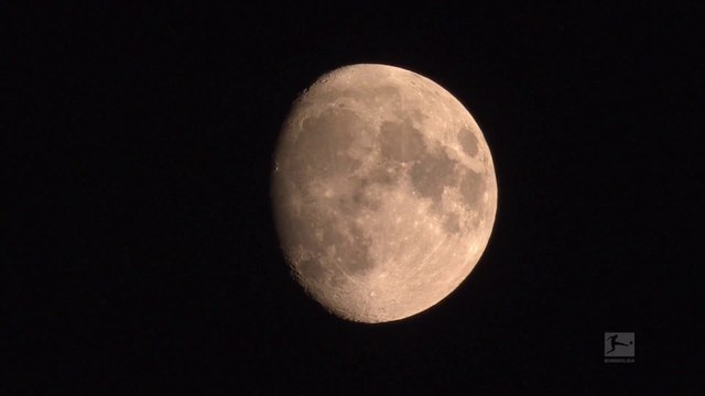 Werder Bremen v Paderborn