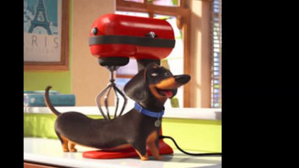 Madì  composer   ( albinoni adagio for orchestra ) , مايدي كومبوزر ( ألبينوني أداجيو فور أوركسترى )