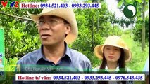 Chế Phẩm Sinh Học Vườn Sinh Thái Dùng cho Cây Chanh