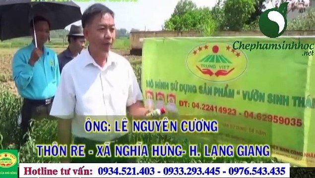 Sử dụng Chế Phẩm Sinh Học Vườn Sinh Thái cho Cây ớt
