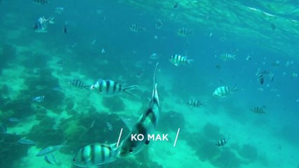 "KO MAK" Top 10 Tourist Places | Ko Mak Tourism | THAILAND