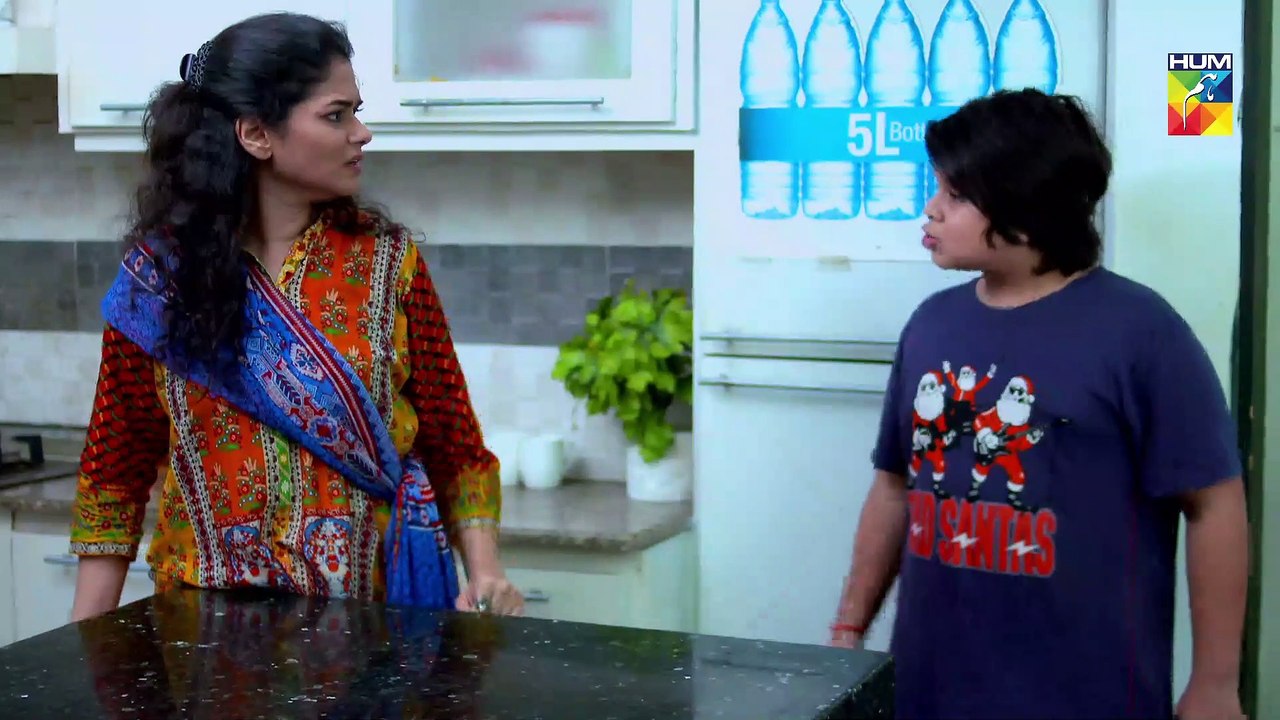 Jadugaryan Episode 12 HUM TV Drama 7 December 2019