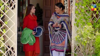 Resham Gali Ki Husna Episode 20 HUM TV Drama 8 December 2019