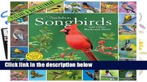 Full version  Audubon Songbirds Picture-A-Day Wall Calendar 2020  For Free