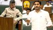 AP Assembly Winter Sessions 2019 : Jagan on Onion Price, Rs 25/KG In AP || Oneindia Telugu