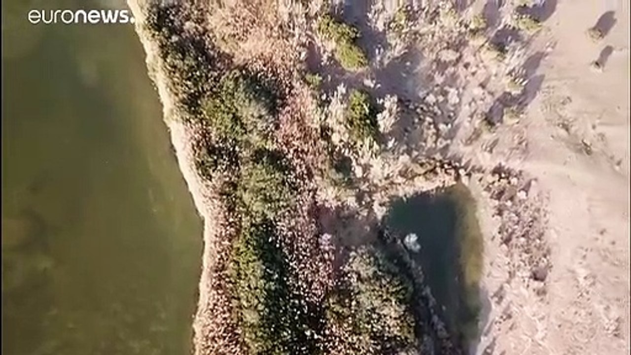 Steigendes Meerwasser bedroht 'Obstgarten Europas'