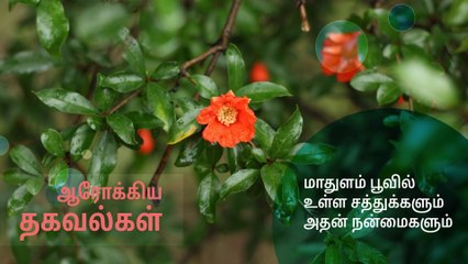 மாதுளம் பூவில் உள்ள சத்துக்களும் அதன் நன்மைகளும்..!