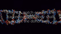 HLA Typing for Bone Marrow Transplant - Paras Hospital Patna - Bihar #CancerKoKaroCancel