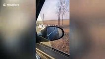 Motorists captures moment thousands of geese lined up to cross road in China