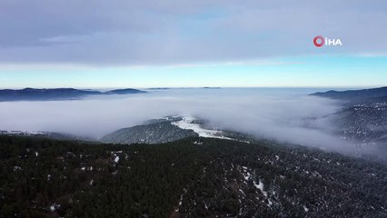 Yeşil ve beyazın eşsiz buluşması kartpostallık görüntü oluşturdu