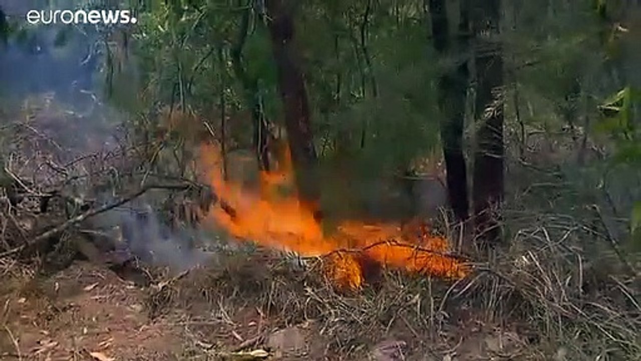 Australien: 2.000 Feuerwehrleute gegen Buschfeuer. Die Aussichten: Hitzewelle, Trockengewitter