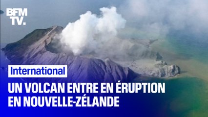 Un volcan entre en éruption sur une île en Nouvelle-Zélande et fait plusieurs morts