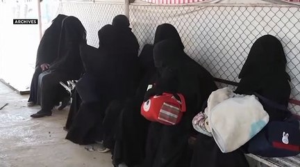 La Turquie expulse onze proches de présumés djihadistes français vers la France