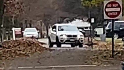 Quand des dindes protestent contre Thanksgiving