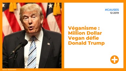 Véganisme : Million Dollar Vegan défie Donald Trump