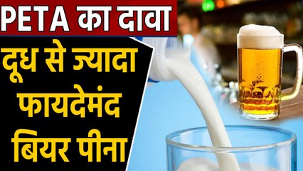 Drinking Beer is more beneficial than milk claims PETA, people shocked | Boldsky