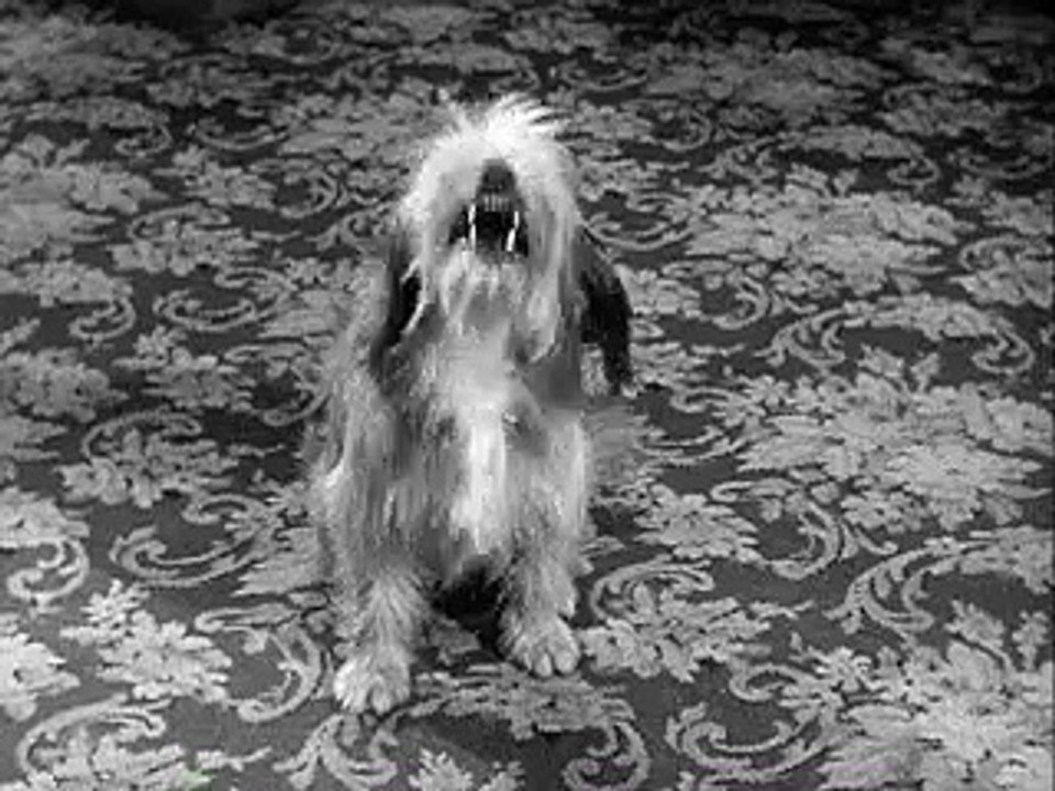 Petticoat Junction S2 E09 & E10