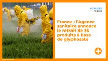 Pesticides : l'Anses retire 36 produits à base de glyphosate