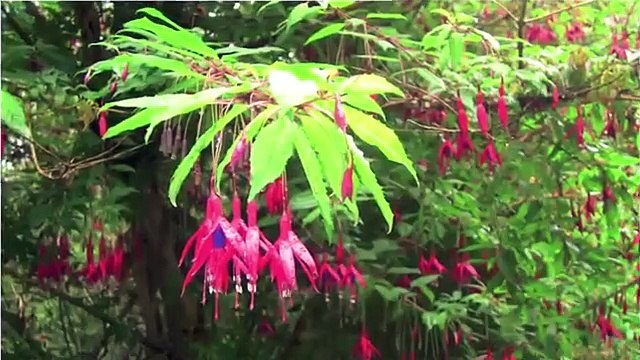 Wandern Irland Reisen