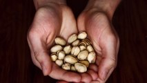 4 Amazing Health Benefits of Pistachios