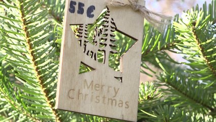 Reportage - Le marché de sapins de Noël est de retour Boulevard Clémenceau