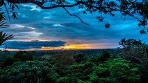 Jungla del Amazonas - Perú: En busca de plantas medicinales