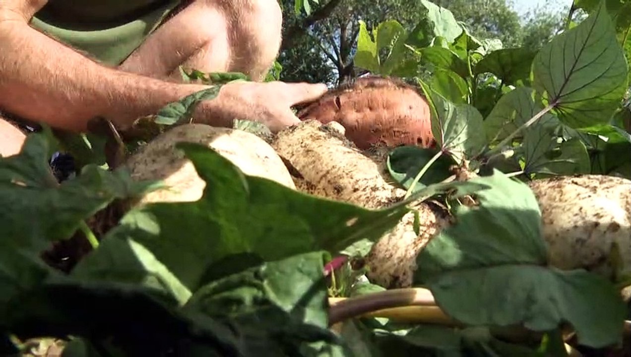 Wenn der Klimawandel auf die Psyche schlägt