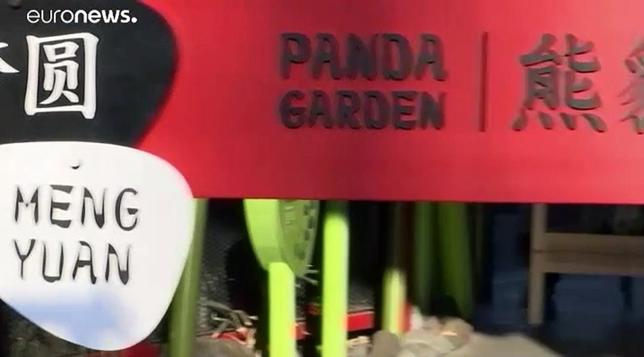 Berliner Pandas sind 100 Tage alt und: Es sind zwei Jungs!