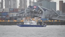 Un navire de 328 mètres a percuté une grue au port de Waasland