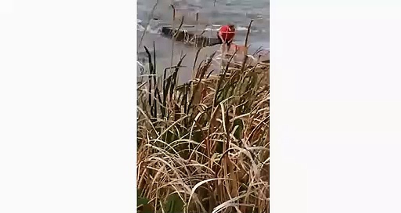 Elle jette son chien à la mer