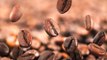 Predicted Global Coffee Shortage Is Nothing to Panic About