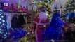 Casal alemão ostenta recorde mundial de árvores de Natal