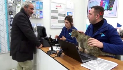 Sığındığı iş yerinin maskotu oldu