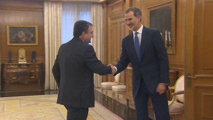 El Rey Felipe VI recibe a Aitor Esteban