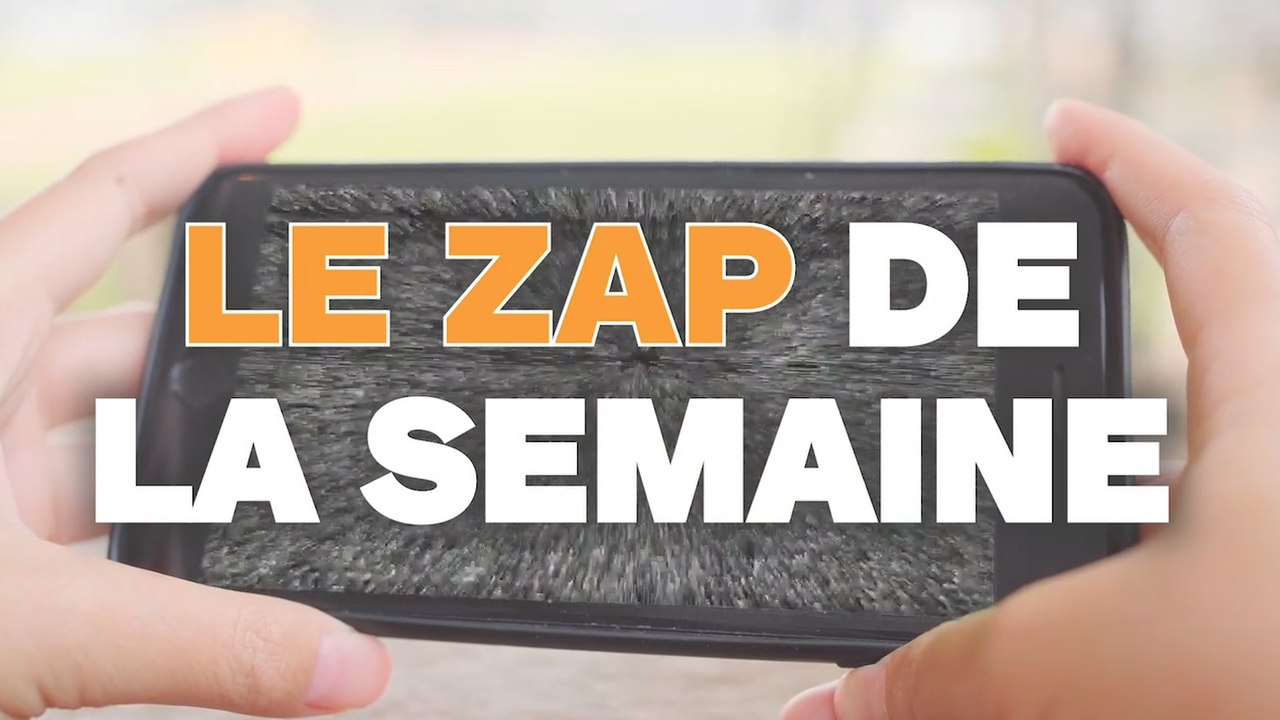 Le ZAP de la semaine #197 : une raie manta, des gros fails et un bus animalier !
