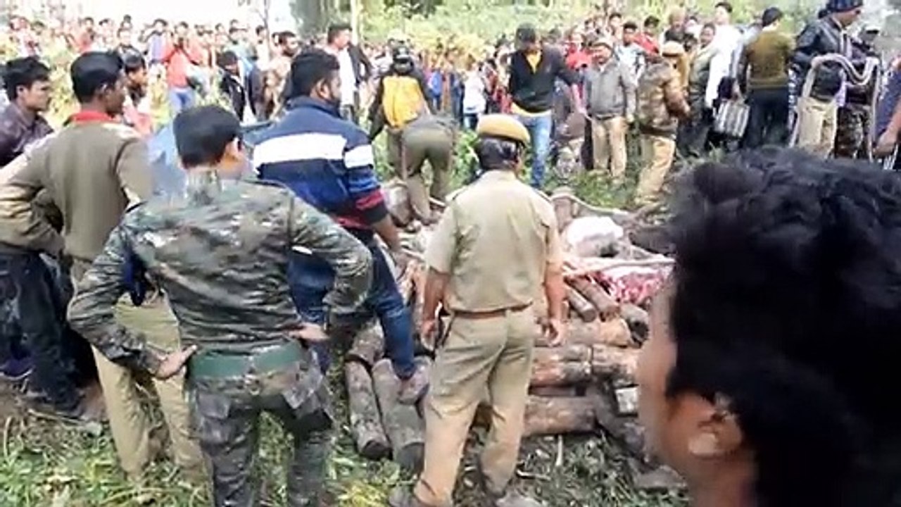 Dos elefantes mueren atropellados por un tren en India