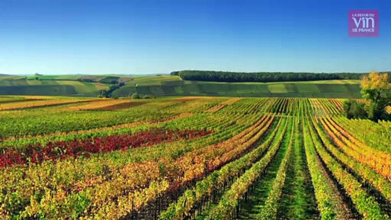 "Le travail sur les sols peut compenser les effets du réchauffement climatique"