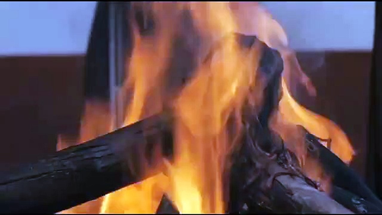 Del amor y otros demonios | trailer Los Angeles Film Festival 2010 Hilda Hidalgo