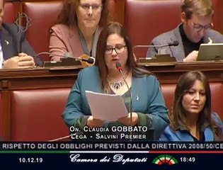 Gobbato - Il cosiddetto decreto clima non è una svolta (11.12.19)
