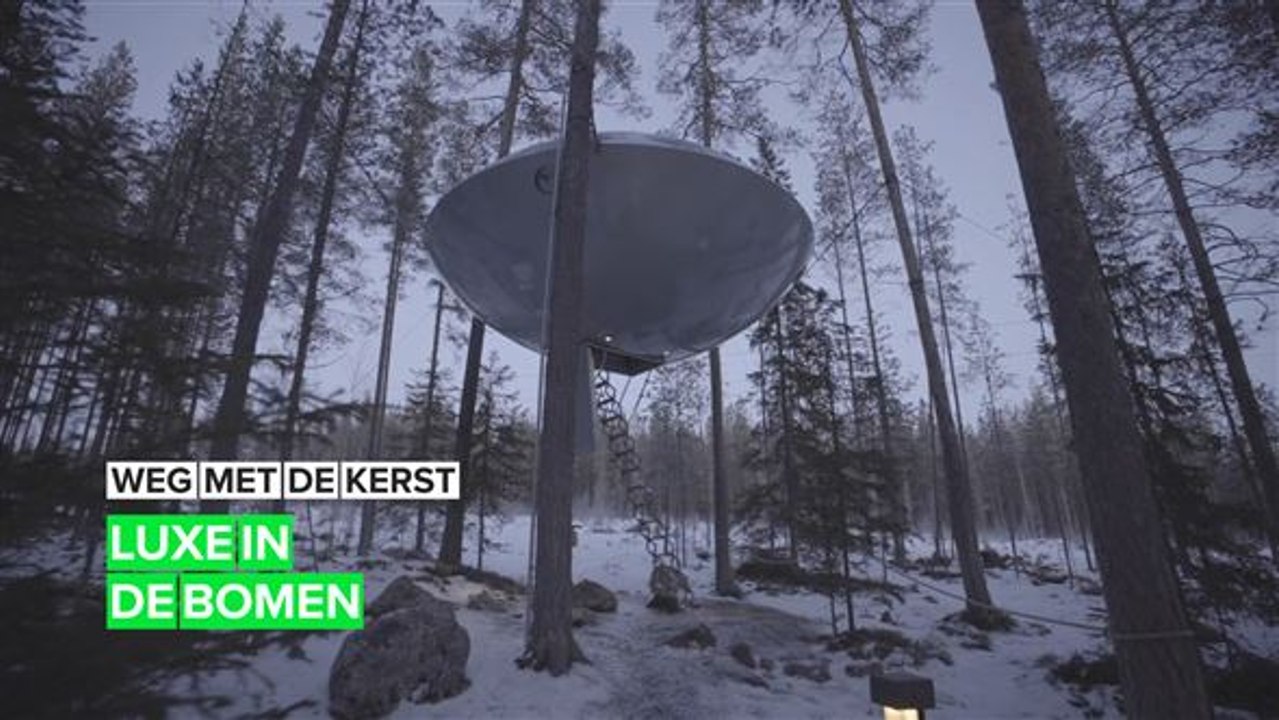 Klim deze kerst de bomen in Video Dailymotion