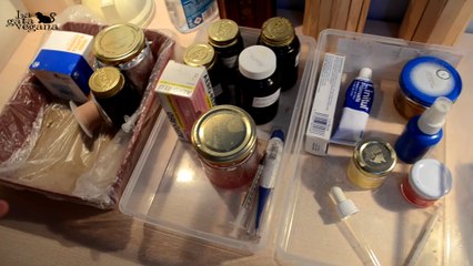 LA ZONA DE MEDICAR ANIMALES Y MI SISTEMA DE CAJAS Y BOTES | MI ÁREA VETERINARIA | LA GATA VEGANA