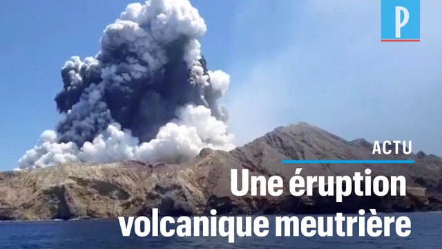 Nouvelle-Zélande : l'éruption du volcan fait cinq morts