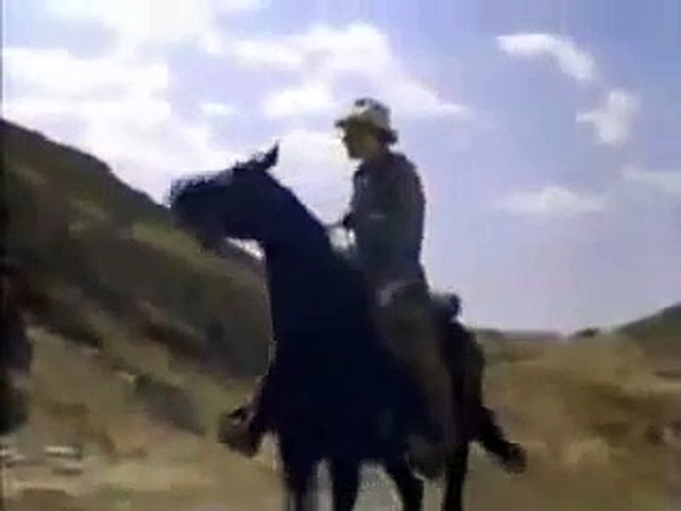 HONDO intro