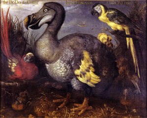 Los 5 animales extintos más impactantes