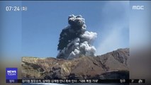 [이 시각 세계] 뉴질랜드 화산 폭발…