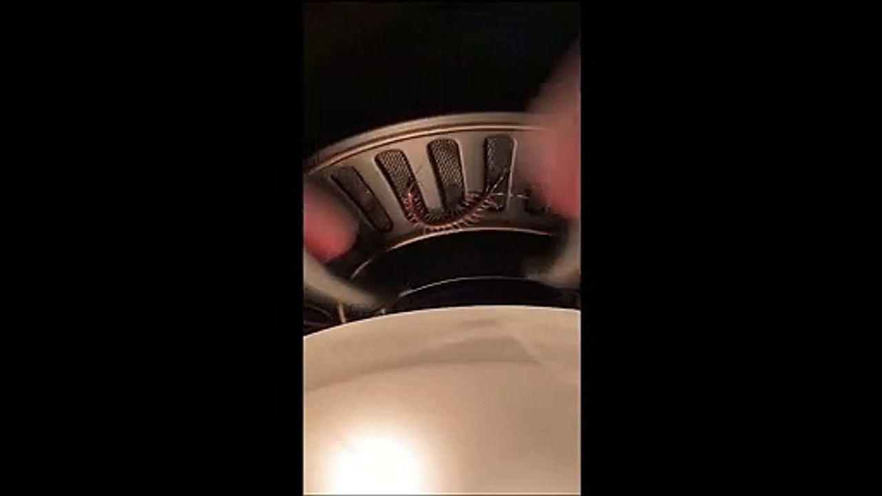 Centipede Falls into Fan