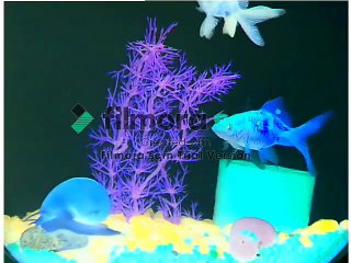 Language Nursery in G Major [Part 2]